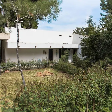#luxlikehome - Sanni * Sani (Chalkidiki)