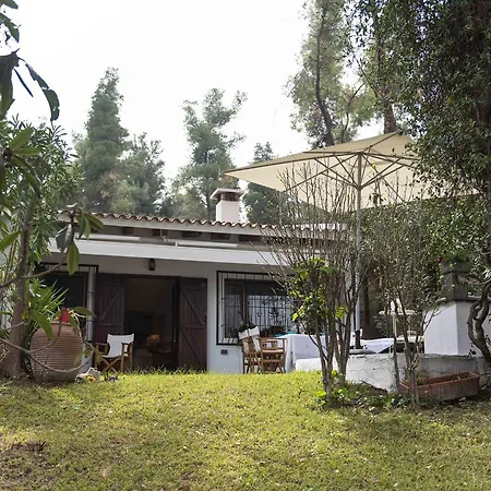 #luxlikehome - Sanni Tatil Evi Sani (Chalkidiki)